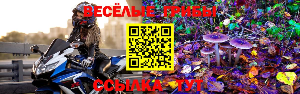 Нальчик  Галлюциногенные грибы GOLDEN TEACHER  хочу   Галлюциногенные грибы Magic Shrooms  Вход с VPN 